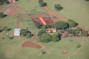 Fazenda – Goiás