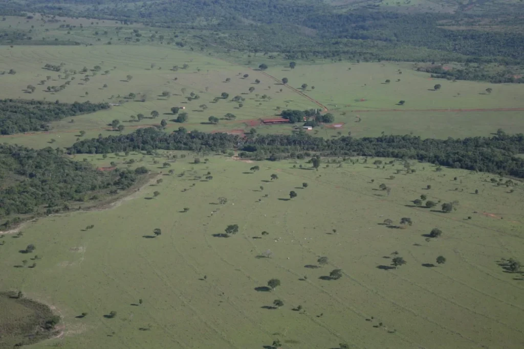 Fazenda – Goiás